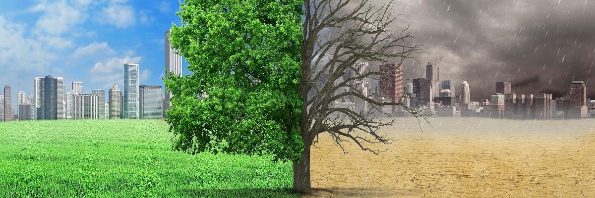 La sfida dell'ambiente