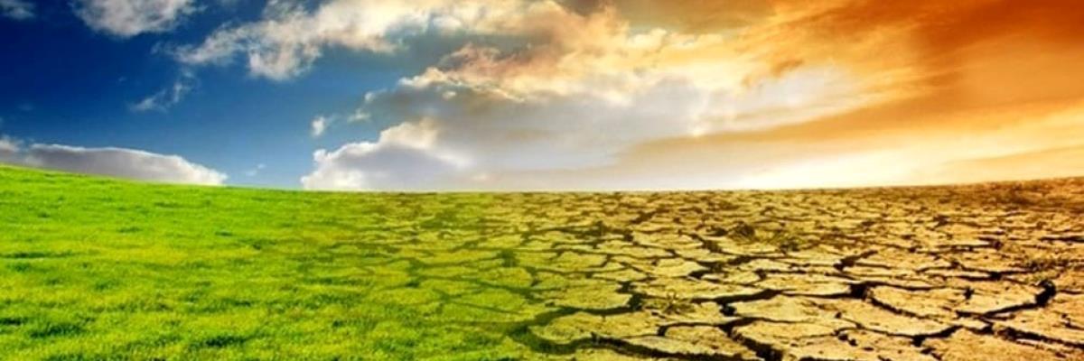 La sfida dell'ambiente: un incontro sulla sostenibilità