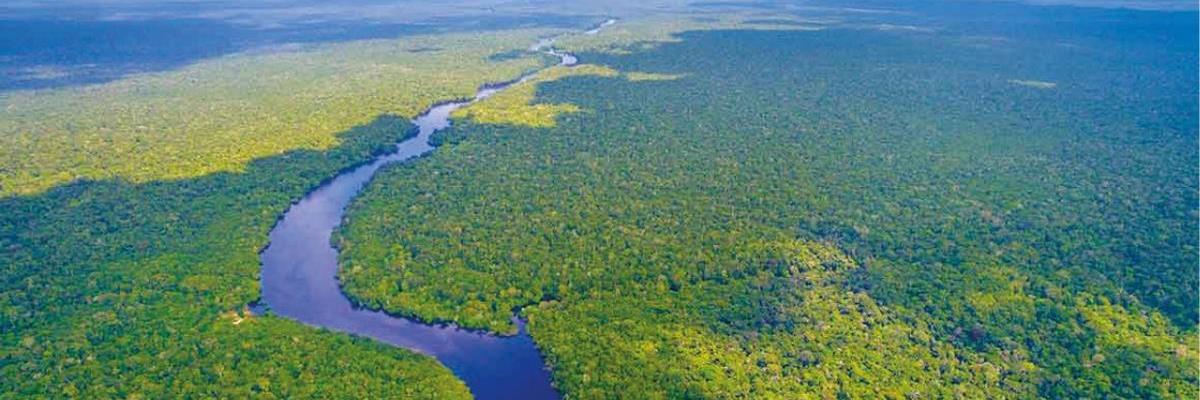 Preghiere e riflessioni per l'Amazzonia