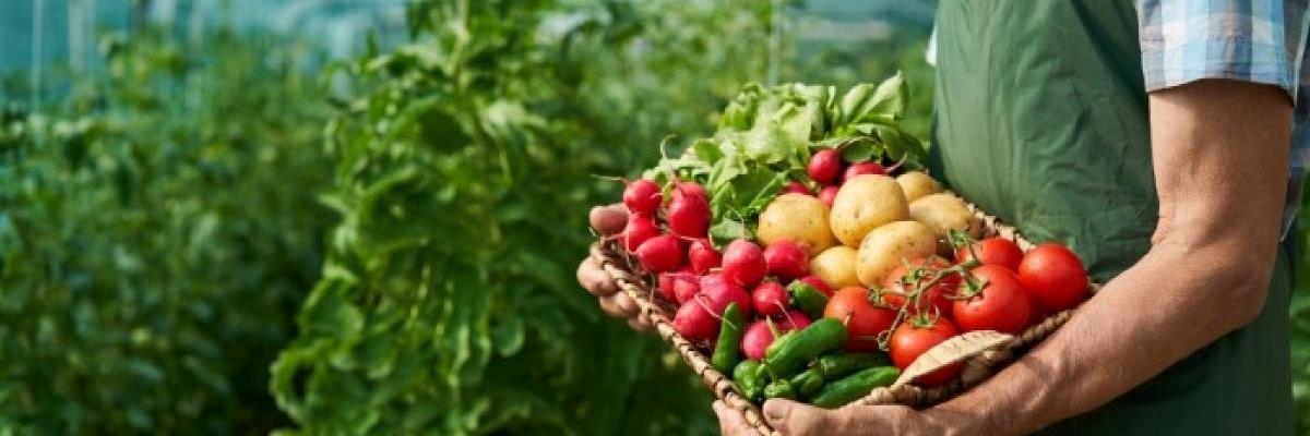 Incontro sull'agricoltura biologica