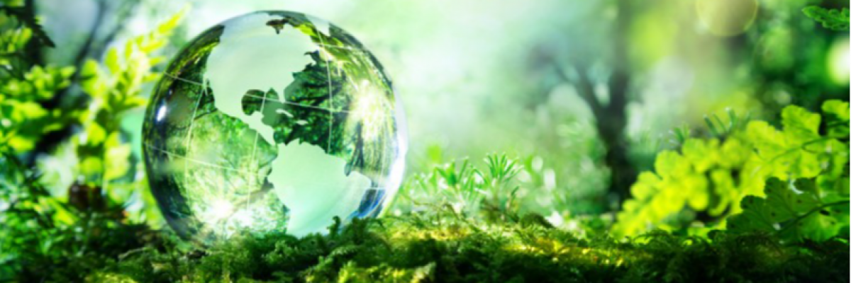Laudato si' Project in action! Un incontro in streaming