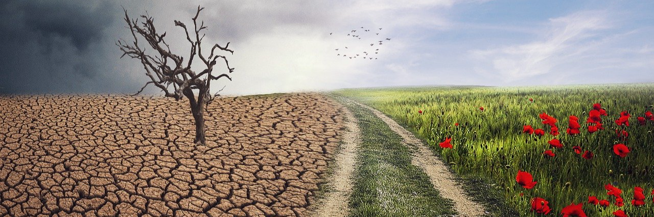 Cambiamenti climatici. Siamo ancora in tempo?