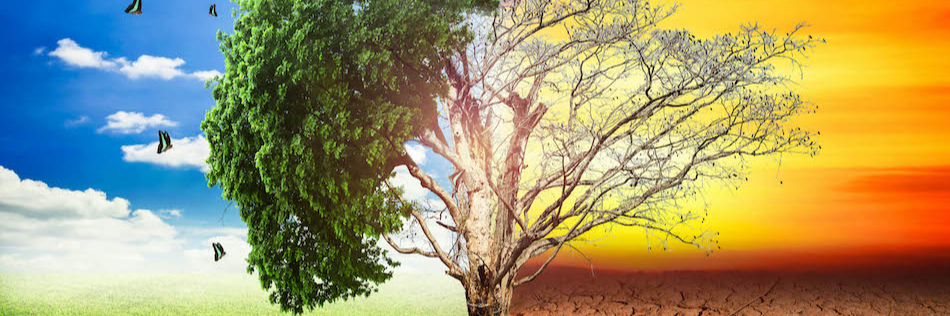 Agenda 2030 | Agire per il clima | Un corso sui cambiamenti climatici con Mario Nenci