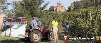 Aspettando la Fest'Acli: il lavoro in Franciacorta