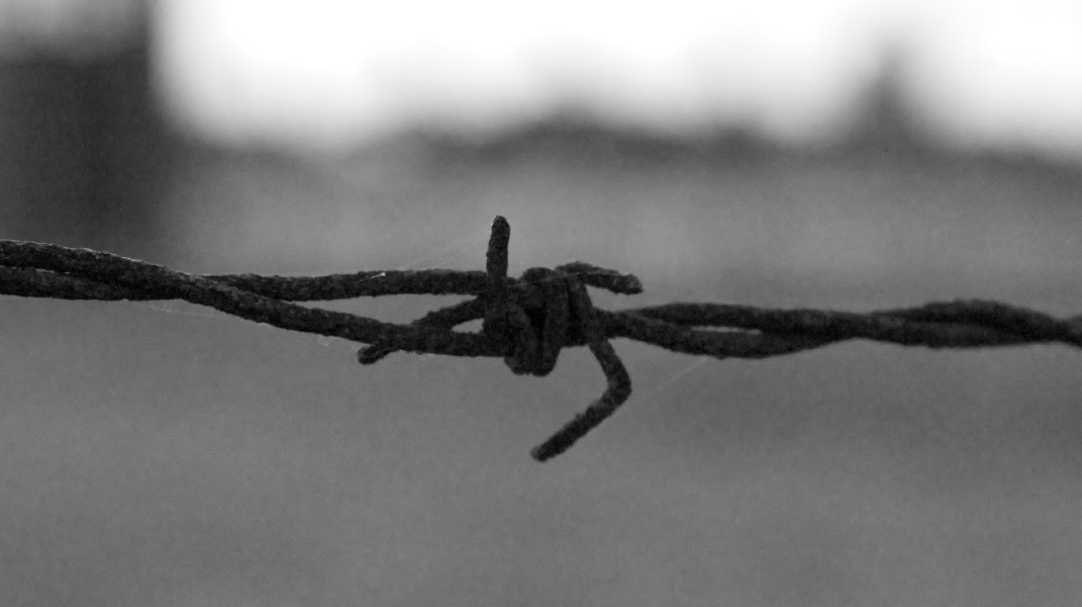Giornata della memoria. Incontro al Prealpino