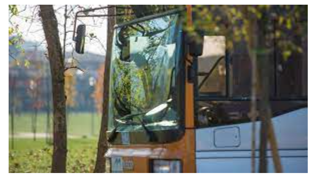 Un corso gratuito Enaip per autista di autobus