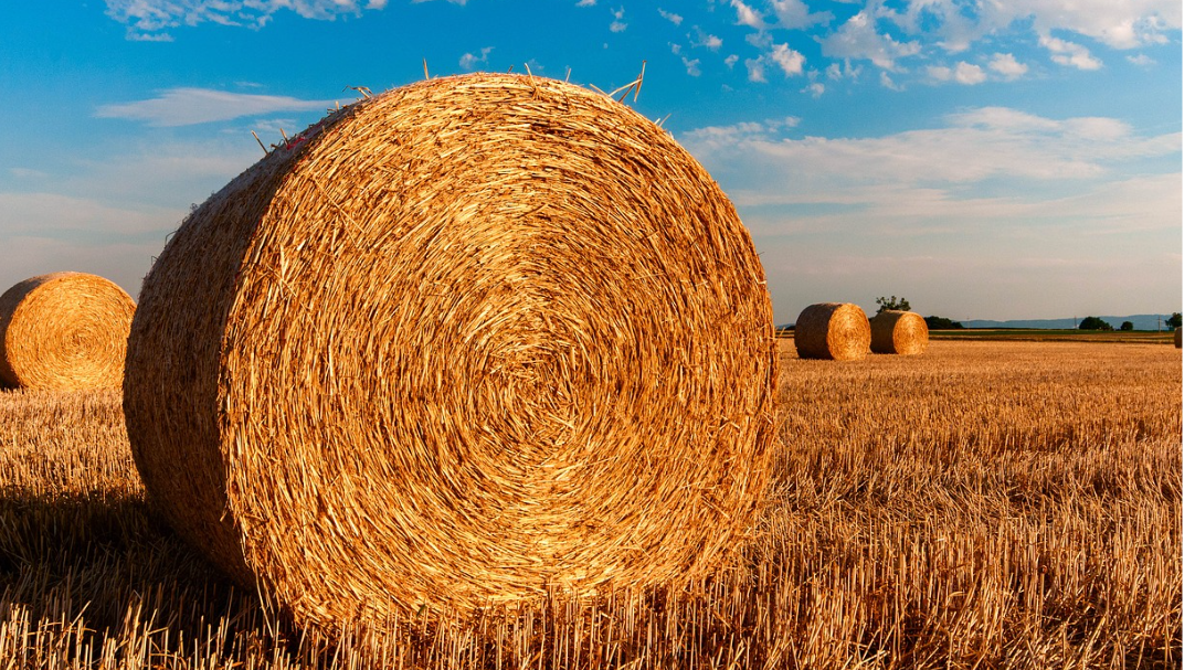 Agricoltura e ambiente. Un incontro a Verolanuova