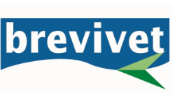 Brevivet - agenzia viaggi