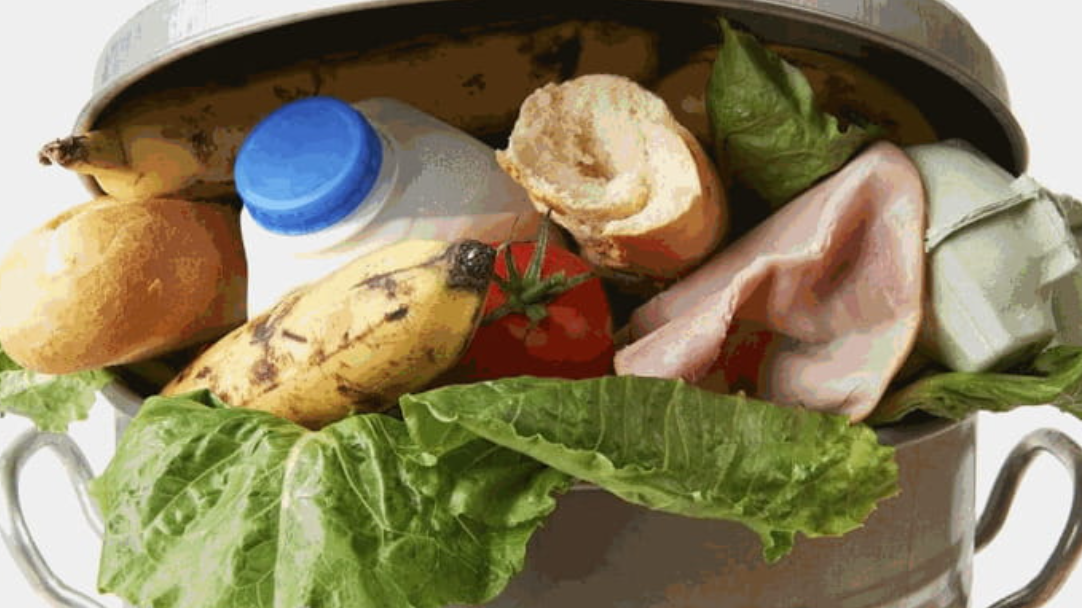 Nostra Eccedenza. Un libro sullo spreco alimentare