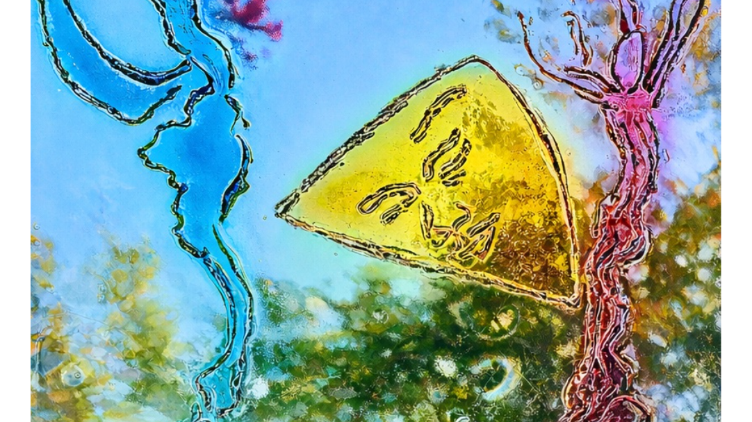 Mostra personale di Ettore Goffi