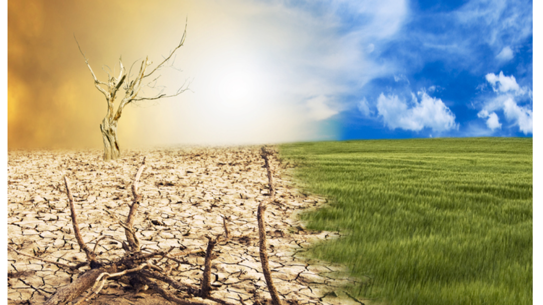 Una giornata green. Dalla scena all'azione. Impegno per la Terra