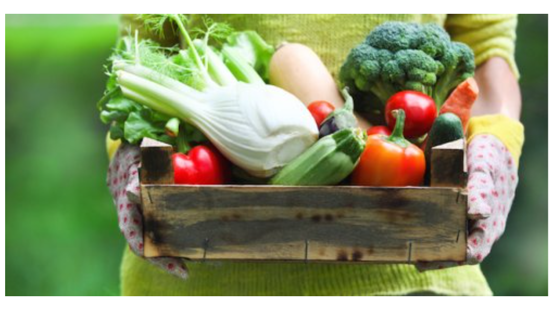 Mercatino del consumo critico a Iseo